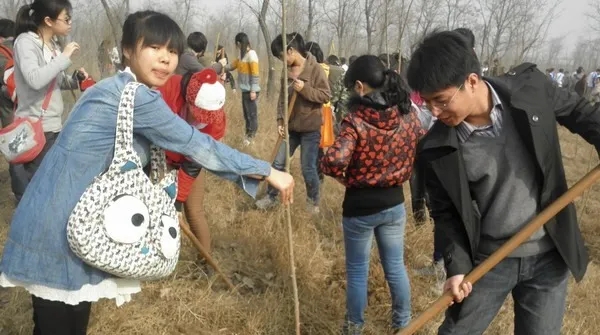 2013圖2.webp.jpg