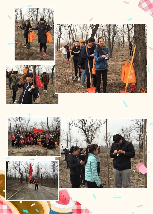 2016圖4.webp.jpg